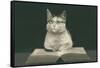 Wise Cat Reading Book-null-Framed Stretched Canvas