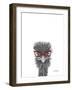 Wise Ostrich-Sartoris ART-Framed Giclee Print