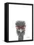 Wise Ostrich-Sartoris ART-Framed Stretched Canvas