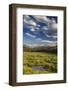 Wise River, Pioneer Mountains, Beaverhead-Deer Lodge National Forest, Montana, USA-Chuck Haney-Framed Photographic Print