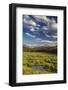 Wise River, Pioneer Mountains, Beaverhead-Deer Lodge National Forest, Montana, USA-Chuck Haney-Framed Photographic Print