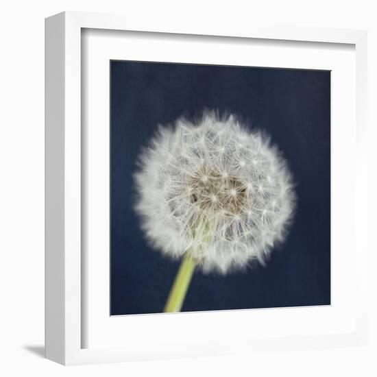 Wish Garden-Susannah Tucker-Framed Art Print