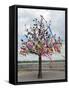 Wish Tree, Kiev, Ukraine, Europe-Graham Lawrence-Framed Stretched Canvas