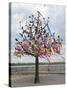 Wish Tree, Kiev, Ukraine, Europe-Graham Lawrence-Stretched Canvas