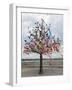 Wish Tree, Kiev, Ukraine, Europe-Graham Lawrence-Framed Photographic Print