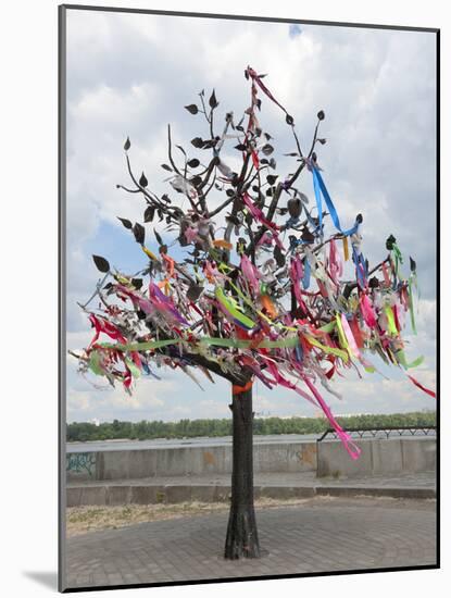 Wish Tree, Kiev, Ukraine, Europe-Graham Lawrence-Mounted Photographic Print