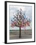 Wish Tree, Kiev, Ukraine, Europe-Graham Lawrence-Framed Photographic Print