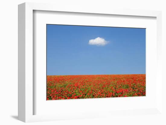 Wish-Marco Carmassi-Framed Photographic Print