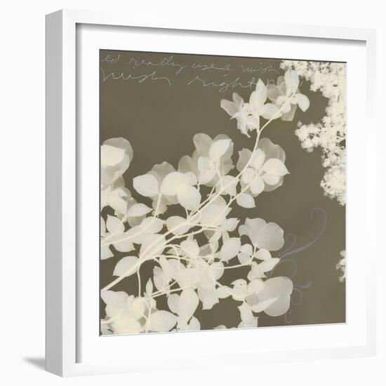 Wishes and Leaves I-Amy Melious-Framed Art Print