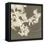 Wishes and Leaves II-Amy Melious-Framed Stretched Canvas