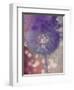 Wishful Thinking I-Tina Lavoie-Framed Giclee Print