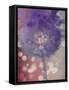 Wishful Thinking I-Tina Lavoie-Framed Stretched Canvas