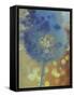 Wishful Thinking II-Tina Lavoie-Framed Stretched Canvas