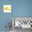 Wishful Thinking IV-Kate Mawdsley-Mounted Giclee Print displayed on a wall