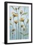 Wishing Blooms-Christina Long-Framed Art Print