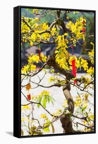 Wishing tree at the Tomb of Emperor Khai Dinh the Last Emperor of Vietnam, Hue, Vietnam-null-Framed Stretched Canvas