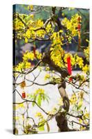 Wishing tree at the Tomb of Emperor Khai Dinh the Last Emperor of Vietnam, Hue, Vietnam-null-Stretched Canvas