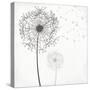 Wishing-Kimberly Allen-Stretched Canvas