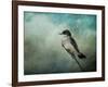 Wishing-Jai Johnson-Framed Giclee Print