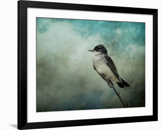 Wishing-Jai Johnson-Framed Giclee Print