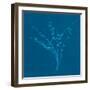 Wisp I-Sarah Cheyne-Framed Giclee Print