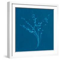 Wisp I-Sarah Cheyne-Framed Giclee Print