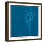 Wisp II-Sarah Cheyne-Framed Giclee Print