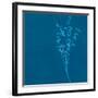 Wisp II-Sarah Cheyne-Framed Giclee Print