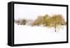Wispers of Winter-Adrian Campfield-Framed Stretched Canvas