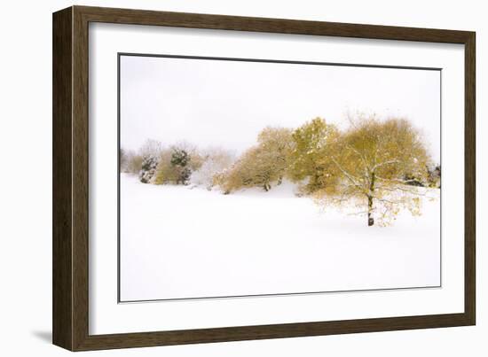 Wispers of Winter-Adrian Campfield-Framed Giclee Print