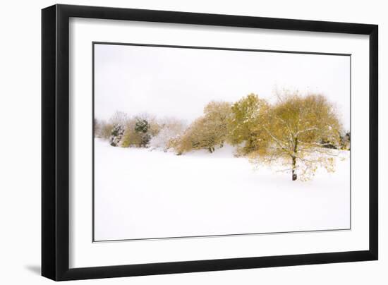 Wispers of Winter-Adrian Campfield-Framed Giclee Print