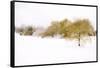 Wispers of Winter-Adrian Campfield-Framed Stretched Canvas