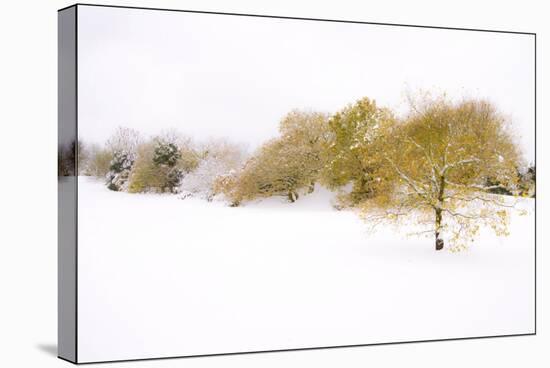 Wispers of Winter-Adrian Campfield-Stretched Canvas