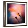 Wisps-Ursula Abresch-Framed Photographic Print