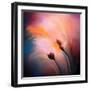 Wisps-Ursula Abresch-Framed Photographic Print