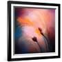 Wisps-Ursula Abresch-Framed Photographic Print