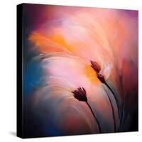 Wisps-Ursula Abresch-Stretched Canvas