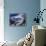 Wispy Clouds Form Near the Peaks Surrounding Mount Everest-null-Framed Photographic Print displayed on a wall