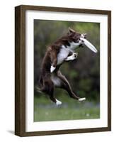 Wissenschaft Hunde Intelligenz-Charles Krupa-Framed Photographic Print