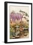 Wistaria in a Kyoto Garden-Ella Du Cane-Framed Giclee Print