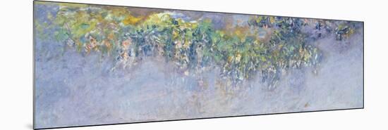 Wisteria, 1919-20-Claude Monet-Mounted Giclee Print