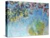 Wisteria, 1920-25-Claude Monet-Stretched Canvas