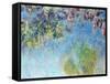 Wisteria, 1920-25-Claude Monet-Framed Stretched Canvas