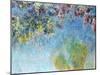 Wisteria, 1920-25-Claude Monet-Mounted Giclee Print