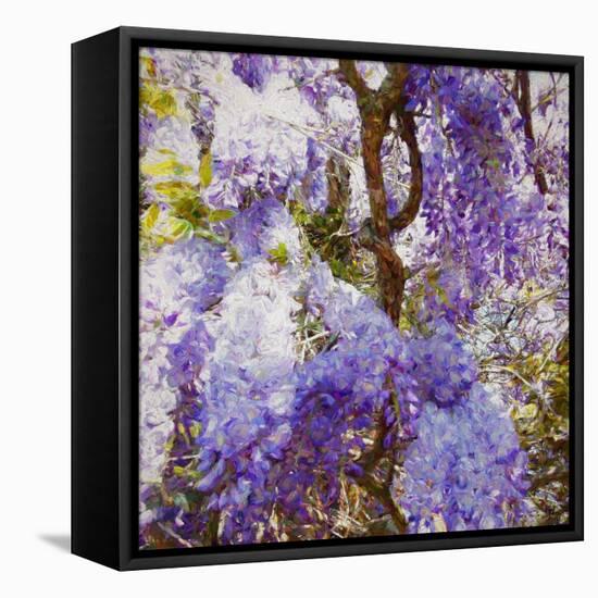 Wisteria, 2018,-Helen White-Framed Stretched Canvas