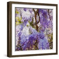 Wisteria, 2018,-Helen White-Framed Giclee Print