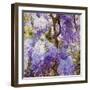 Wisteria, 2018,-Helen White-Framed Giclee Print