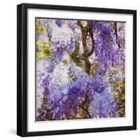 Wisteria, 2018,-Helen White-Framed Giclee Print