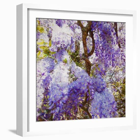 Wisteria, 2018,-Helen White-Framed Giclee Print