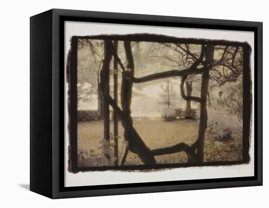 Wisteria Arbor-Theo Westenberger-Framed Stretched Canvas